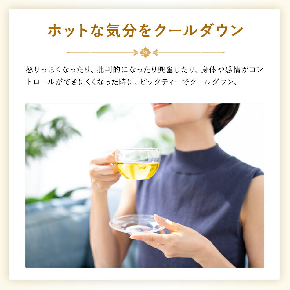 【薬膳スパイスティー】ピッタティー100gハーバルリーフの健康茶ホットな気分をクールダウンアーユルヴェーダのハーブティー薬草茶自然療法で美容と健康に!ハーバルティー