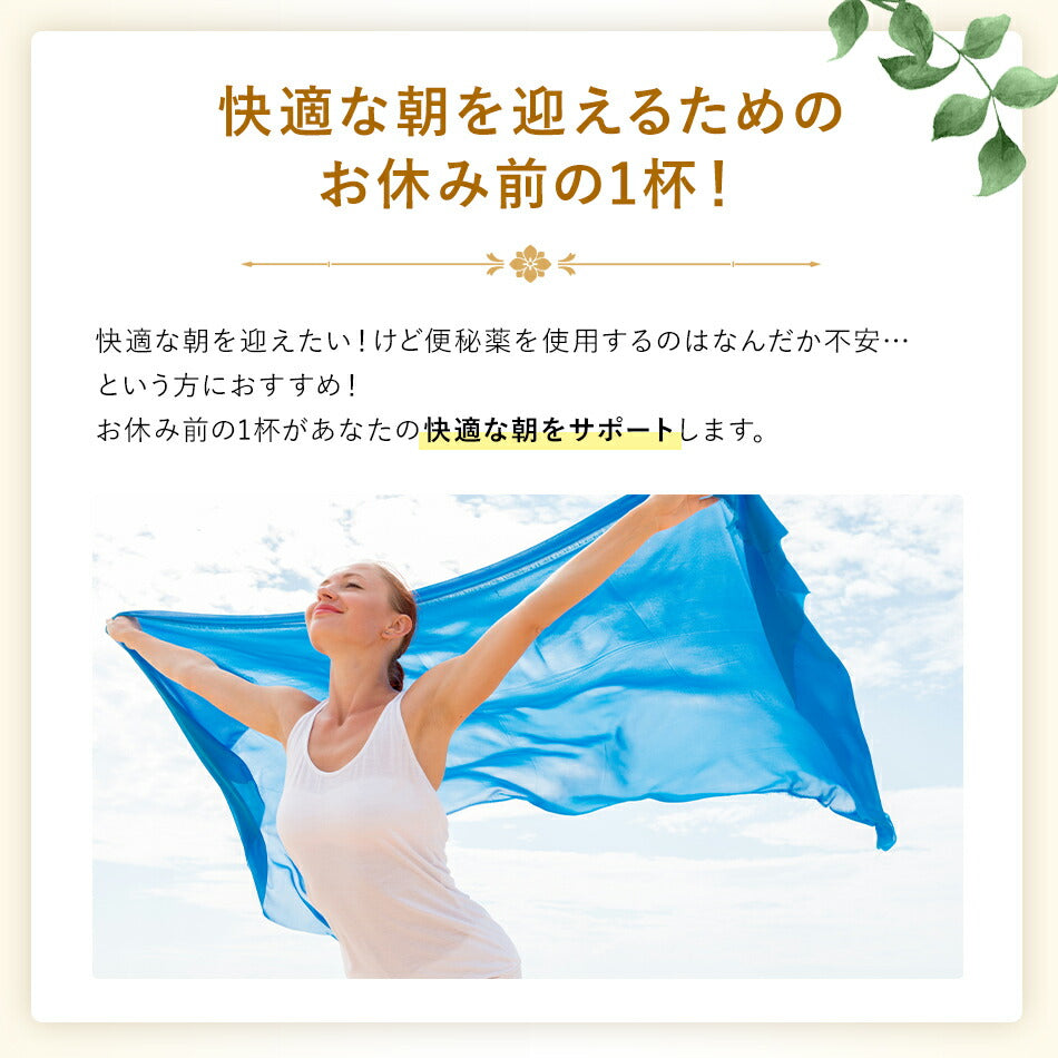 【薬膳スパイスティー】サハナティー100g快調な朝活のお手伝いハーバルリーフの粉茶アーユルヴェーダの飲み物薬草茶ハーブティー自然療法で美容と健康に!ハーバルティー